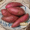 生态紫薯 5斤装 | 合作农友生产，产自四川简阳，生产者：范华侨/张勇 *【公平贸易农人定价】 商品缩略图10