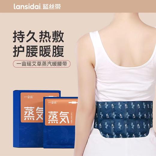 一亩瑶 蒸汽暖腰带 130mm*275mm*5片 商品图0