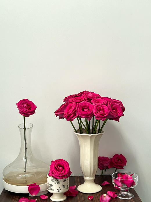 【AB级弗洛伊德玫瑰.第二件减10元】10支/份 长约60-65cm 商品图6