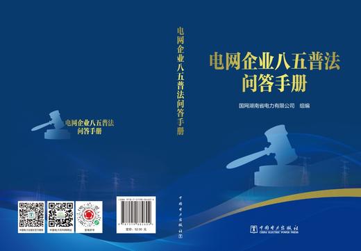电网企业八五普法问答手册 商品图2
