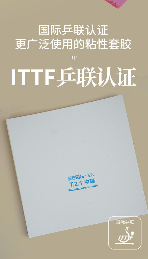 友谊729 龙腾系列套胶 商品图6