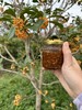 桂花蜜（2罐） 商品缩略图1