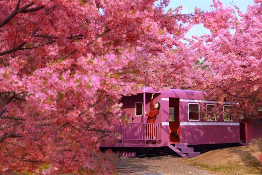 【漫花庄园 2026年双人年卡】 商品图1