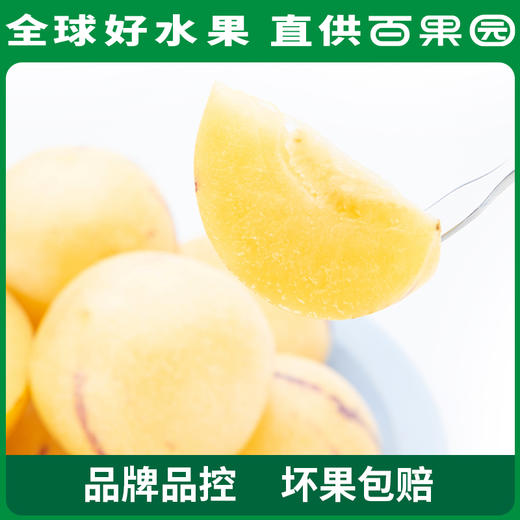 PAGODA百果园 树上熟人参果（大）4.5斤彩箱装 商品图2
