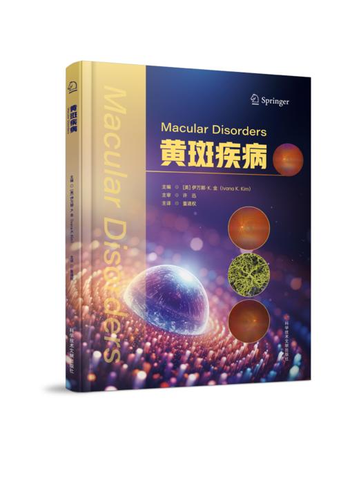 黄斑疾病 (美)伊万娜·K.金  董道权  主译 商品图0