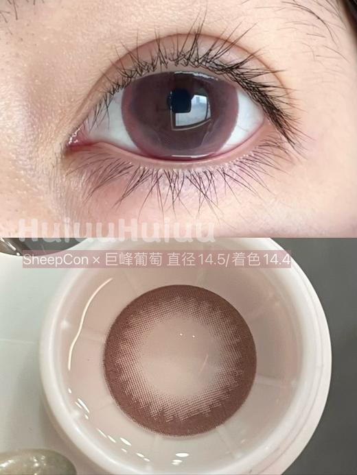 【实拍系列】偏大着色自然系列-夏黑葡萄/微醺葡萄/京玉葡萄/巨峰葡萄/旋转芭蕾/夏末芭蕾-14.5mm/14.4mm 【年抛 度数0-1000度 无525/575 】 商品图3