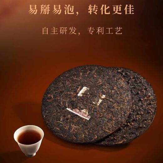 勐乐山2024年双层铁饼易武韵普洱熟茶357g 商品图2