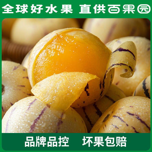 PAGODA百果园 树上熟人参果（大）4.5斤彩箱装 商品图4