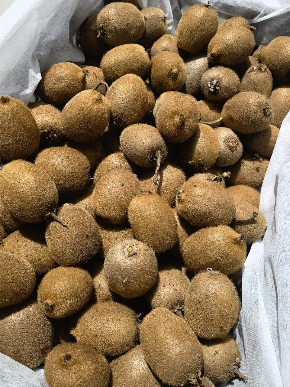 瑞玉猕猴桃4斤/件