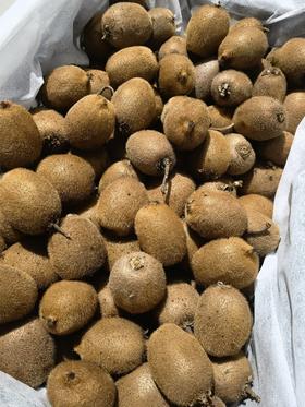 瑞玉猕猴桃4斤/件