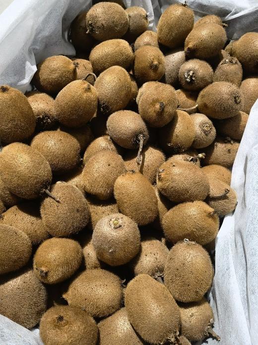 瑞玉猕猴桃4斤/件 商品图0