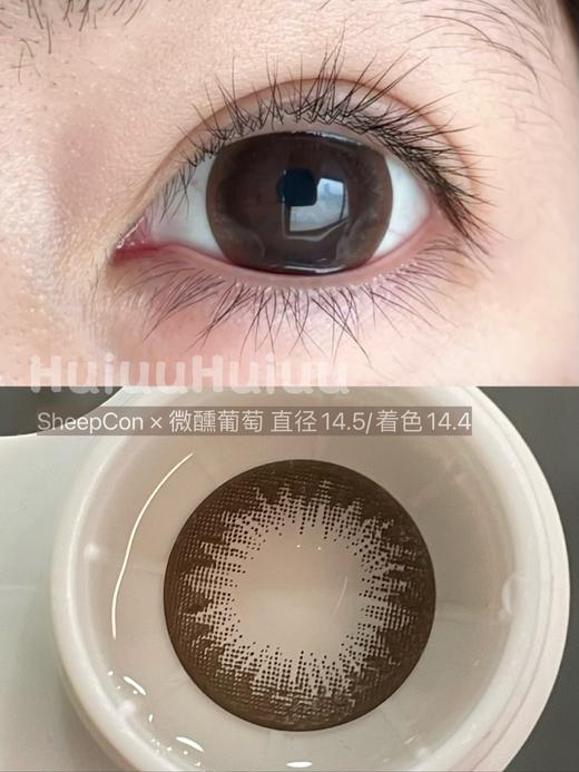 【实拍系列】偏大着色自然系列-夏黑葡萄/微醺葡萄/京玉葡萄/巨峰葡萄/旋转芭蕾/夏末芭蕾-14.5mm/14.4mm 【年抛 度数0-1000度 无525/575 】 商品图5