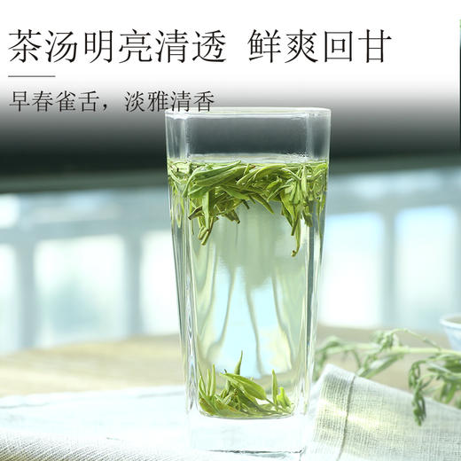 2026新茶5星雀舌绿茶明前青叶甘露茶叶125g*2袋 商品图3