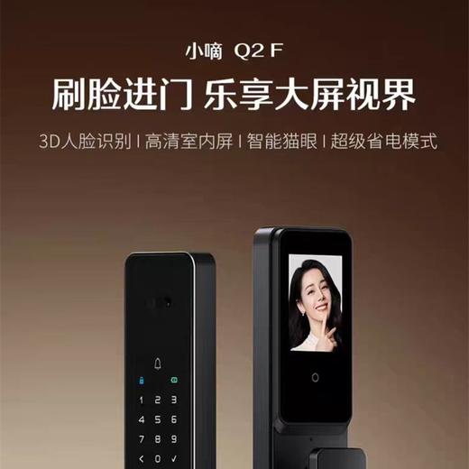 LR【德施曼Q2Fpro人脸识别锁大屏指纹锁家用密码锁】DSM 商品图1