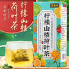 淳滋堂柠檬山楂荷叶茶 十六味非冬瓜荷叶茶养生袋泡茶非脂流茶150g共30小包 商品缩略图1