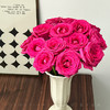 【AB级弗洛伊德玫瑰.第二件减10元】10支/份 长约60-65cm 商品缩略图0