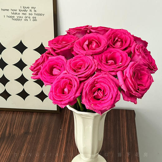 【AB级弗洛伊德玫瑰.第二件减10元】10支/份 长约60-65cm 商品图0