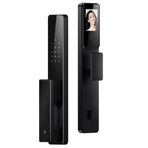 LR【德施曼Q2Fpro人脸识别锁大屏指纹锁家用密码锁】DSM 商品图0