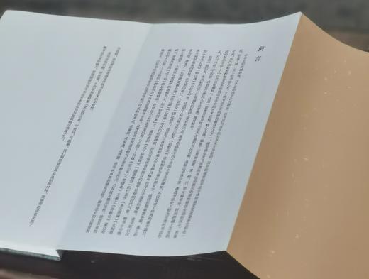 《诅楚文》，布面经折装，16开，历代法帖精粹编委会编，浙江古籍出版社2022年5月一版一印，定价300，售价98元。 商品图2