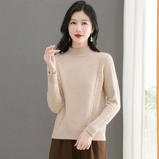 CC-103-6379秋冬新款纯色半高领保暖针织衫毛衣女套头厚款内搭上衣打底衫 商品图1