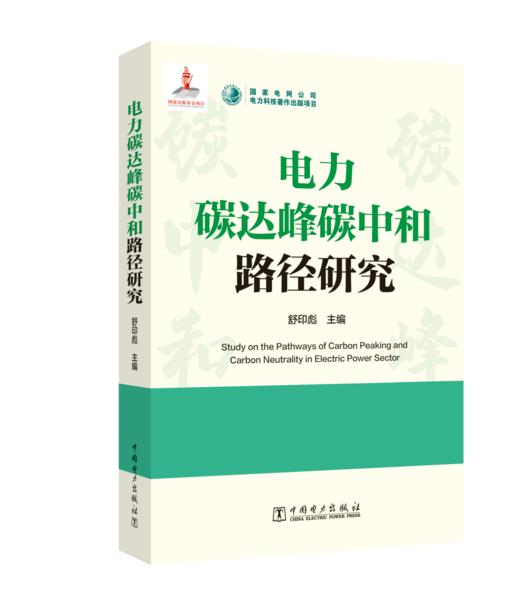 电力碳达峰碳中和路径研究 商品图0