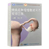 U盘版 卵巢癌肿瘤细胞减灭术视频合集 中华医学会医师培训工程 中华医学视频资源库 主编张正茂9787881092577中华医学电子音像出版社 商品缩略图1