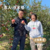 【买2件减20元】有机阿珍富士苹果 多种规格 | 合作农友生产，产自陕西千阳，生产者：张家祯 *【公平贸易农人定价】 商品缩略图4