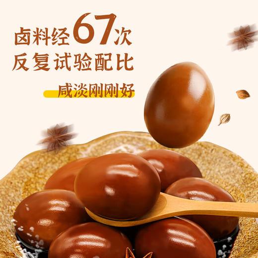 【10枚】杨生记经典卤蛋10枚 商品图1