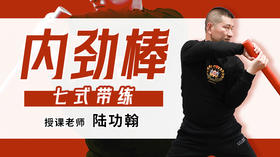 内劲训练棒 七式带练