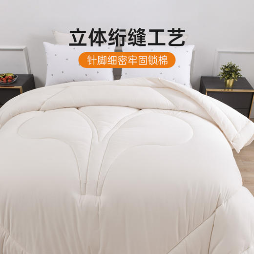 雅芳婷冬季柔暖冬被被子冬天加厚保暖秋冬被芯冬被床品 商品图4