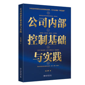 公司内部控制基础与实践 王卫琴 著 北京大学出版社