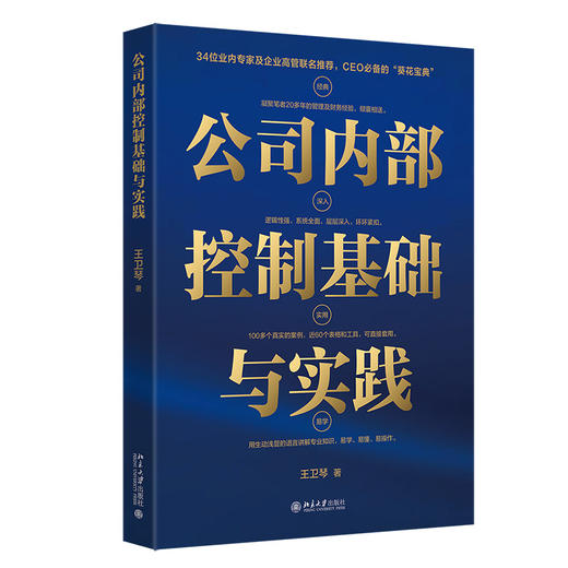 公司内部控制基础与实践 王卫琴 著 北京大学出版社 商品图0