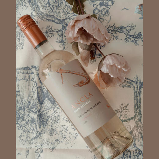 柑橘芭乐奶油冰 | 智利卡萨布兰卡谷 | 安可拉特级珍藏长相思干白葡萄酒 ANCLA Gran Reserva Sauvignon Blanc 2020 商品图1