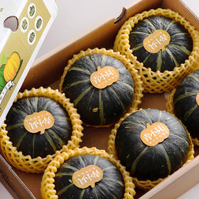 【积分兑换】贝贝南瓜 | 4.5斤5～6枚礼盒装 生态种植 源种青小贝甜糯板栗香 口感粉沙 饱腹粗粮 候物