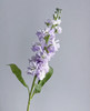 【永恒的爱】紫罗兰（多色可选）约10支/扎 商品缩略图9