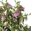 配花 | 紫斑风铃 商品缩略图3
