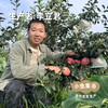 生态满满苹果 4-4.5斤| 合作农友生产，产自山东烟台，生产者：李立君 *【公平贸易农人定价】 商品缩略图4