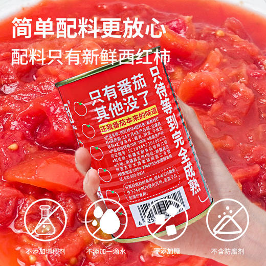 笑厨番茄罐头（西红柿块）400g/罐 商品图2