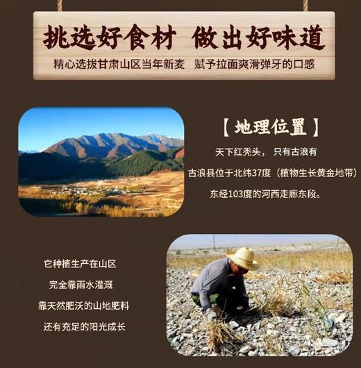 【甘肃特产】古浪手工红秃头功夫拉面二细圆面空心方便速食200克*20袋实惠【古浪大靖红】 商品图2