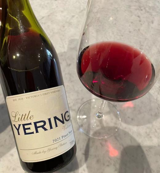 【草莓樱桃】玉麟庄园细叶黑皮诺干红葡萄酒 2023 Yering Station Little Yering Pinot Noir 商品图1