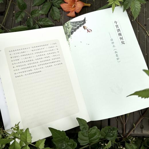 《人间美词》| 武大教授王新才诚意之作 深度解读多首唯美小词 商品图4