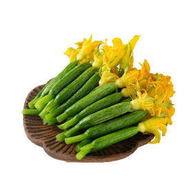 青瓜花 |蔬菜