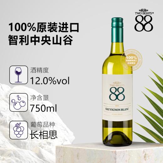 【第二件0元】首彩 88环球系列 长相思白葡萄酒 750ml 商品图3