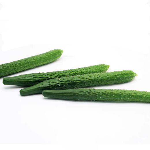 【亚欧超市】黄瓜500g±50g 商品图0