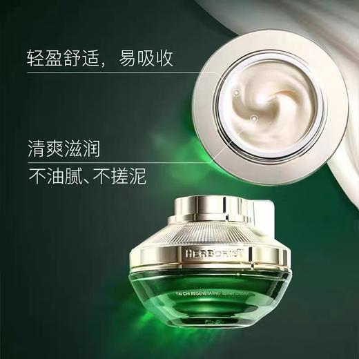 太极肌源修护面霜 商品图6