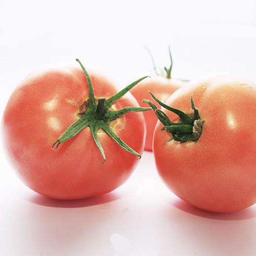 【亚欧超市】西红柿500g±50g 商品图0