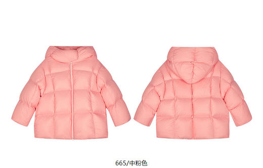 jnby   24年冬款   短款羽绒服  1OAC10950 商品图11