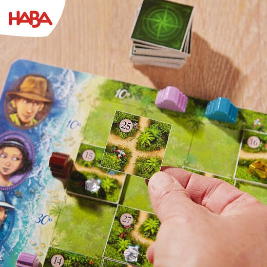 HABA 神秘密码13+4 桌游 适合12岁+ 团队协作 观察推理  德国品牌- 2012183001 商品图9