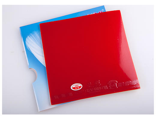 友谊729 天翼套胶 乒乓球拍胶皮反胶 商品图3