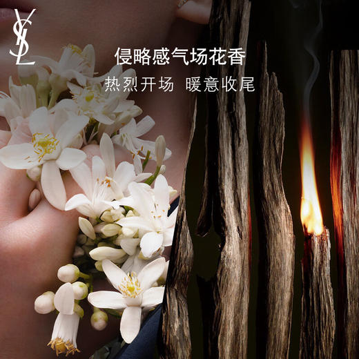 圣罗兰自由至上女士香水经典版30ml 商品图1